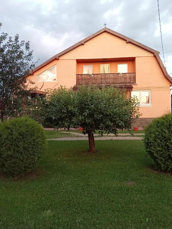 Timi Kulcsoshaz Hotel Lăzarea Екстериор снимка